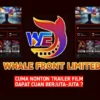 Aplikasi WFL Whale Front Limited Skema Ponzi Berkedok Penghasil Uang, Sebentar Lagi Scam!