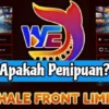 Apakah Aplikasi Penghasil Uang WFL Kembali Memakan Korban? Ini Faktanya