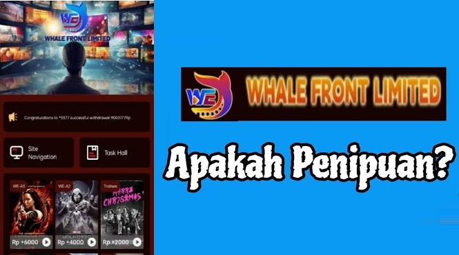 Benarkah Aplikasi WFL Whale Front Limited Penghasil Uang? Ini Faktanya Benarkah Aplikasi WFL Whale Front Limited Penghasil Uang? Ini Faktanya
