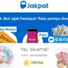 Aplikasi penghasil saldo DANA gratis dengan cara survey.
