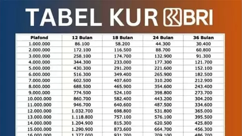 KUR BRI 2025 Mulai Dibuka, Pengajuan Pinjaman Hanya dengan NIK KTP