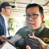 Kepala Badan Pangan Nasional (Bapanas) Arief Prasetyo Adi. (foto/ANTARA)
