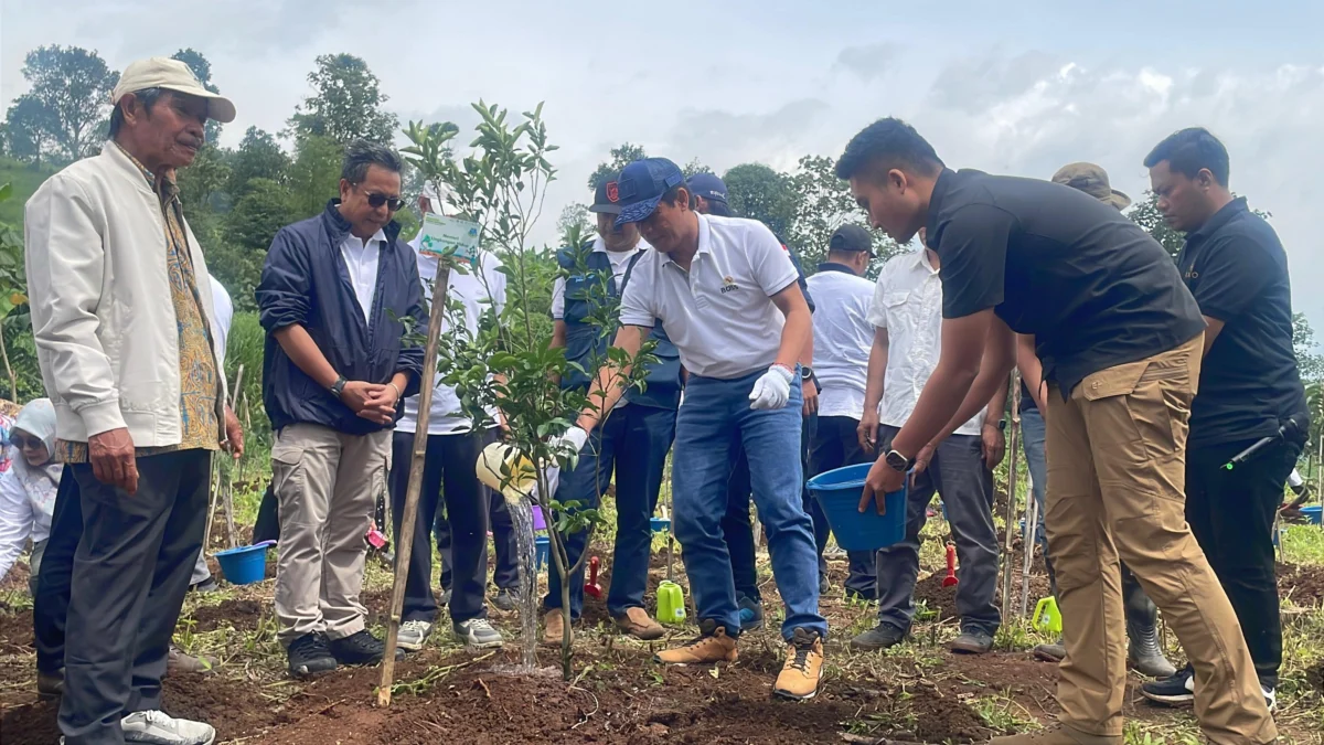 Menteri Lingkungan Hidup, Hanif Faisol Nurofiq saat melakukan penanaman pohon di Kecamatan Cikancung, Kabupaten Bandung, pada Minggu (2/2/2025). Foto Agi