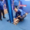 Ketua Umum DPP Partai Demokrat Agus Harimurti Yudhoyono (AHY) meresmikan pemancangan tiang pertama pembangunan Kantor DPD Partai Demokrat Jabar di Jalan Pacuan Kuda No 5, Arcamanik Kota Bandung, Sabtu (8/2/2025).