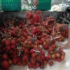 Rambutan Sibatulawang, buah khas Kota Banjar yang memiliki citarasa manis ini bisa mencapai angka penjualan hingga Rp6 miliar lebih per tahun. (Istimewa)