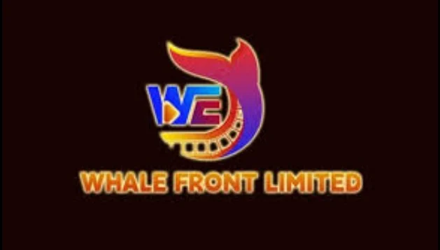 Aplikasi WFL yang sudah terbukti scam menjadi investasi bodong.