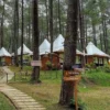 Lokasi wisata TWGC Campingland Lembang, Bandung Barat. Dok Jabar Ekspres/wit