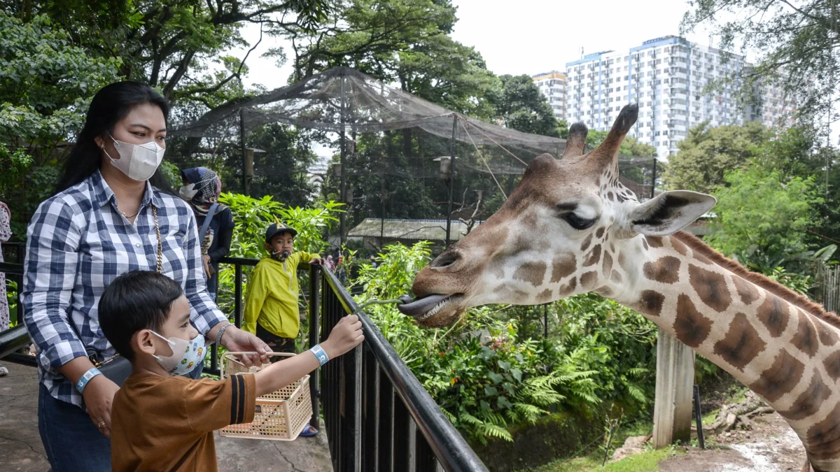 Pengunjung berwisata di Kebun Binatang Bandung beberapa waktu lalu. Foto: Dimas Rachmatsyah / Jabar Ekspres