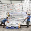 Pekerja melakukan bongkar muat beras di Gudang Bulog Cisaranten Kidul Sub Divre Bandung, Jum'at (7/2). Foto: Dimas Rachmatsyah / Jabar Ekspes