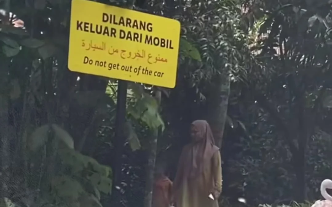 Pengunjung di Taman Safari Indonesia/Foto Istimewa/