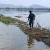 Ratusan hektare lahan pesawahan di Kecamatan Lakbok Kabupaten Ciamis Jawa Barat terendam banjir akibat luapan sungai, Rabu 19 Februari 2025. (Cecep Herdi/Jabar Ekspres)