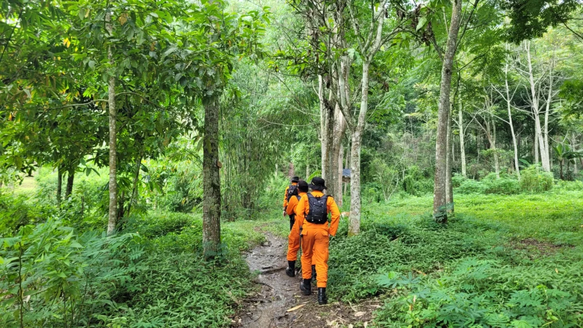 Tim SAR Gabungan tengah melakukan proses pencarian seorang survivor yang dikabarkan hilang diduga tersesat di Gunung Manglayang wilayah Kampung Ciloa, Desa Sindangsari, Kecamatan Sukasari, Kabupaten Sumedang. (Kantor SAR Bandung for Jabar Ekspres)