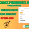Main Sehari Dapat hingga Rp550.000 Saldo Ewallet dari Aplikasi Penghasil Uang Terbaru 2025