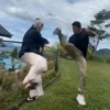 Tutorial Bikin Efek Kungfu AI yang Lagi Tren di TikTok