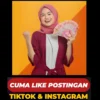 Cuma Scroll dan Like Video TikTok, Dapat Uang dari Internet Hingga Ratusan Dolar