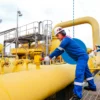 investasi di Indonesia sepertinya akan berada masa sulit. batal menanamkan modalnya di Indonesia gara-gara Harga Gas Bumi Tertentu ( HGBT )