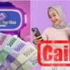 Aplikasi WPONE yang disebut bisa WD hari ini.