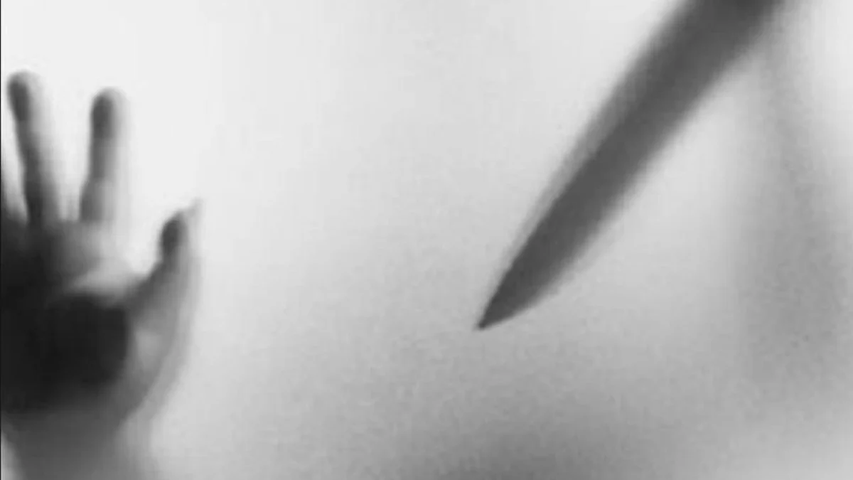 Tragis! Santri di Ibun, Kabupaten Bandung Tewas Usai Saling Bacok Ilustrasi pembacokan (ist)