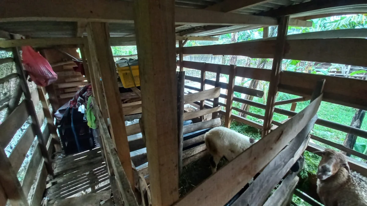 Dua keluarga terdampak banjir Citeko, Bogor, terpaksa bermalam di saung dekat kandang kambing. (Jabar Ekspres)