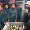 Petugas Gakkum Kemenhut memperlihatkan barang bukti perdagangan TSL dilindungi (foto/ANTARA)