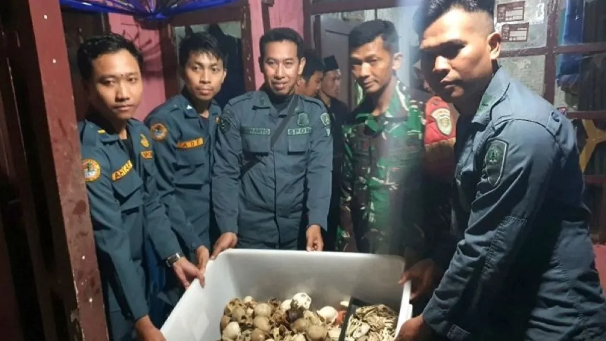 Petugas Gakkum Kemenhut memperlihatkan barang bukti perdagangan TSL dilindungi (foto/ANTARA)