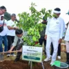 Pesan Dedi Mulyadi: Penanaman pohon sebagai bentuk tobat ekologi