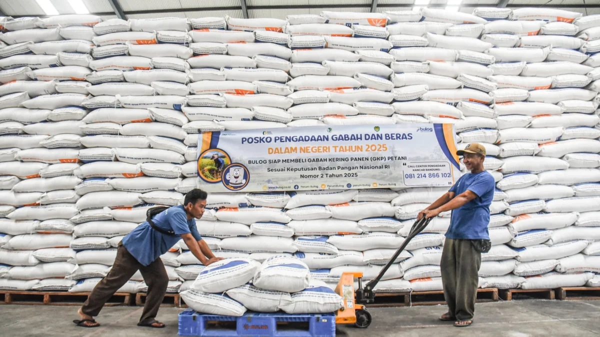 Ilustrasi pekerja melakukan bongkar muat beras di Gudang Bulog Cisaranten Kidul Sub Divre Bandung, Jum'at (7/2). Foto: Dimas Rachmatsyah / Jabar Ekspes