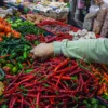 Pedagang menata cabai di Pasar Kosambi, Kota Bandung, Sabtu (1/3). Foto: Dimas Rachmatsyah / Jabar Ekspres