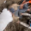 Proses Evakuasi korban yang dinyatakan hilang, kemudian ditemukan dalam keadaan meninggal dunia. Foto: Dok BPBD