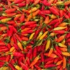 Cabai rawit merah di Pasar Banjar, Jawa Barat masih mahal. Harganya masih mencapai Rp100 ribu per kilogram. (Cecep Herdi / Jabar Ekspres)