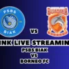 LINK Live Streaming PSBS Biak vs Borneo FC Malam Ini, Pekan Ke-26 di BRI Liga 1 2024/2025