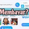 Benarkah Aplikasi Waveful Ini Aman Penghasil Uang atau Penipuan Investasi?