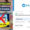Cara Terbaru Pinjam Saldo Uang Rupiah Elektronik Tanpa KTP di Aplikasi DANA 2025