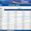 ini Biaya Admin KUR BRI 2025 Terbaru, untuk Pinjaman Mulai 10 Juta