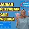 Butuh Dana Cepat? Ini 2 Pinjaman Online Tanpa Bunga yang Cair ke DANA Resmi OJK