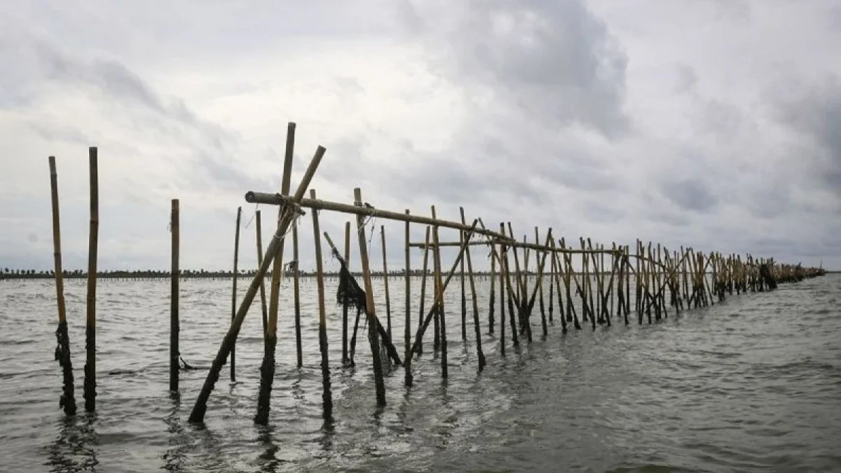 Ilustrasi pagar laut bekasi. (Foto: ANTARA)