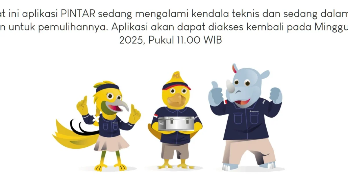 Pengumuman dari laman pintar.bi.go.id yang akan membuka akses lagi pada pukul 11.00 WIB.