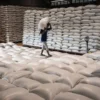 Pekerja tengah mengangkut beras di Perum Bulog. (foto/ANTARA)