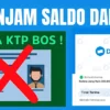 Cara Pinjam Saldo DANA Tanpa KTP Langsung Cair