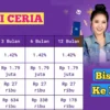 Pinjaman Saldo Dana BRI 2025 Cair Hingga Rp20 Juta Tanpa Jaminan Cuma Pakai KTP