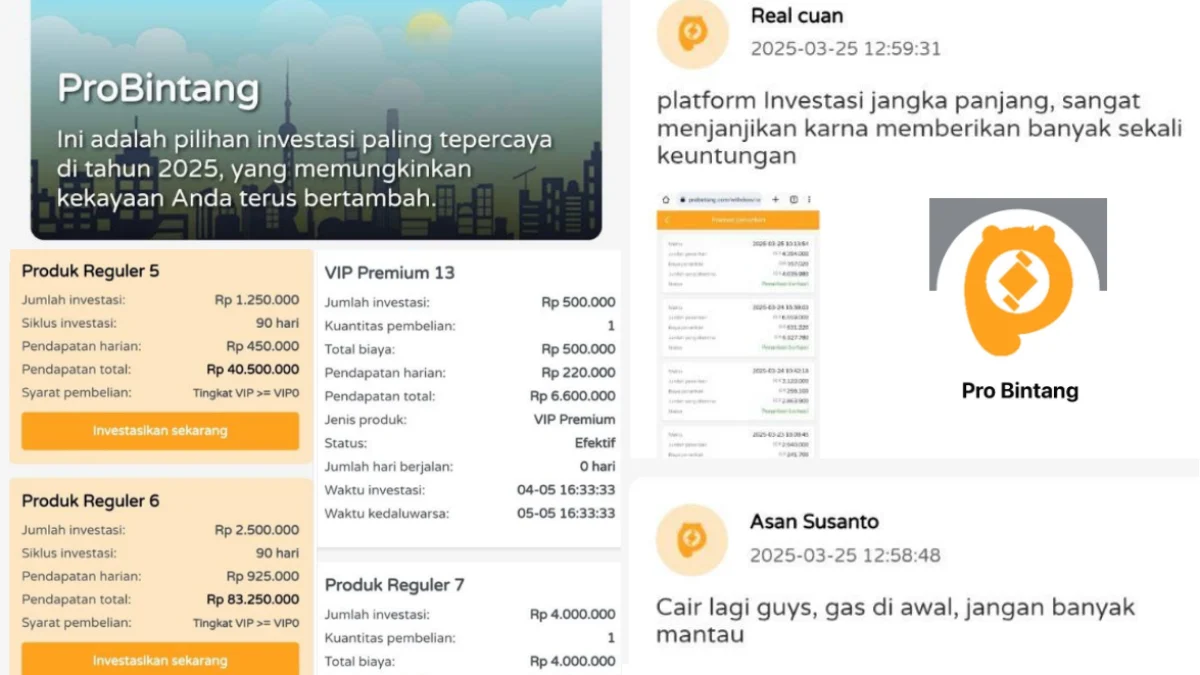 Apakah Benar Aplikasi ProBintang Penghasil Uang?