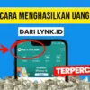 Cara Menghasilkan Uang Dari Lynk.Id