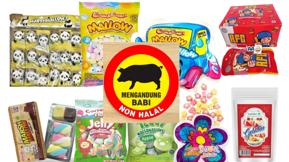 Ini 9 Jajanan Anak yang Ternyata Mengandung Babi, Padahal Sebagian Ada yang Berlabel Halal!