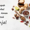Beberapa rempah herbal yang dinilai aman untuk ginjal.
