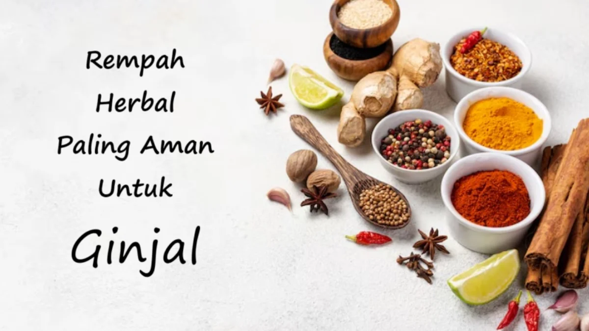 Beberapa rempah herbal yang dinilai aman untuk ginjal.