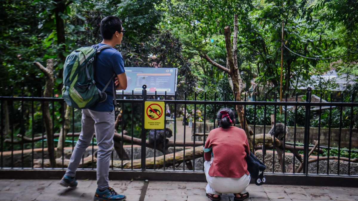 Pengunjung melihat koleksi binatang di Kebun Binatang Kota Bandung. Foto: Dimas Rachmatsyah