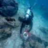 Program Konservasi Lingkungan yang dilakukan oleh Telkom dalam rangka memperingati Hari Bumi yang jatuh pada tanggal 22 April yang dilakukan serentak di empat titik lokasi di Indonesia.
