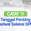 SPPI Batch 4 Kapan Dibuka? Ini Bocorannya, Termasuk Peluang Jadi ASN PPPK 2025