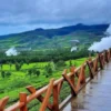 Lahan perkebunan yang jadi kewenangan PTPN Region II Jabar dianggap telah lakukan pelanggaran terkait kerja sama pemanfaatan pihak ketiga.