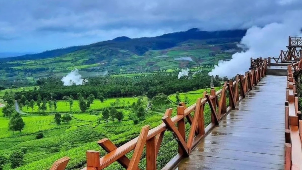 Dianggap Banyak Lakukan Pelanggaran, PTPN Region II Jabar Bilang Begini! Lahan perkebunan yang jadi kewenangan PTPN Region II Jabar dianggap telah lakukan pelanggaran terkait kerja sama pemanfaatan pihak ketiga.
